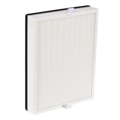 China Hotels With Air Purifier Filter Core Expanded VERSION FY2428 With Filter AC2878/2880/3822 for sale