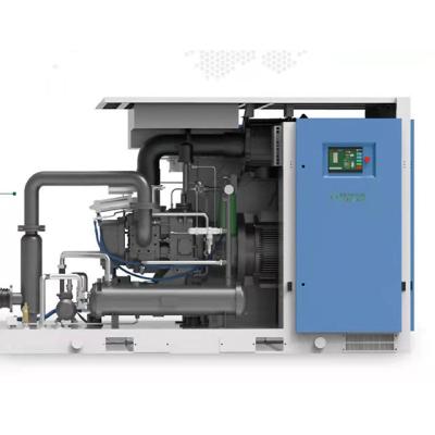 China New Listing of OIL-LESS Closed Running Type Extremely Energy Saving Water Lubrication Screw Air Compressor for sale