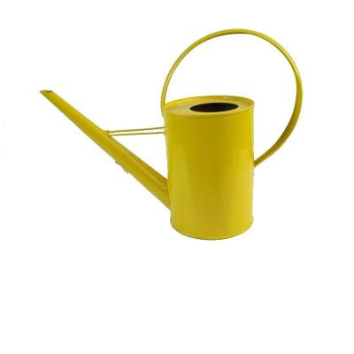 China New modern popular colorful iron watering can modern for sale