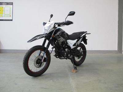 China Motocicletas de Enduro Off Road de la diversión con la base de rueda potente del motor 1365m m en venta