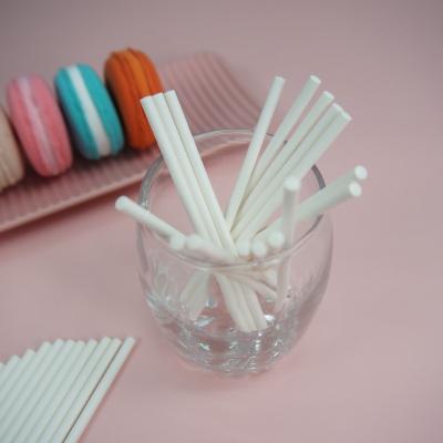 China The White Biodegradable Cake Decorating Craft Paper Stick Bulk Or Direct Selling Package for sale