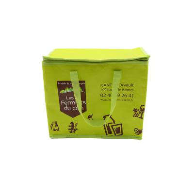 China Thermal Insulation Waterproof Baby Food Bag Cooler Pizza Delivery Bag for sale