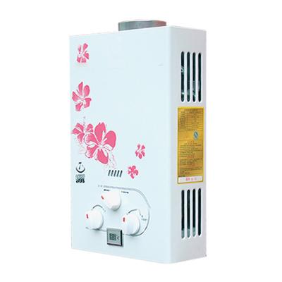 China Outdoor Tankless Water Heater Natural Gas, Instantaneous Water Heater for sale