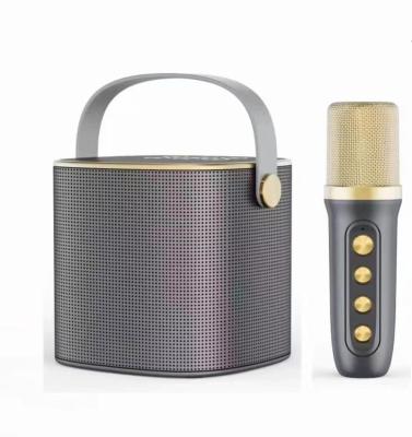 China High Quality Subwoofer Speaker With Microphones Single Home Entertainment Outdoor Portable Wireless Karaoke 101 Speaker for sale