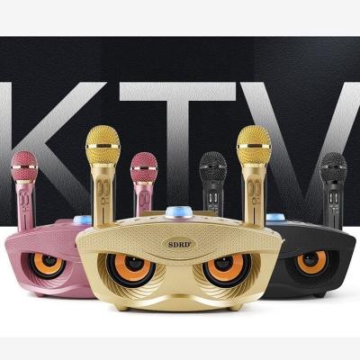 China Wholesale SD306 20W Bass Sound Family KTV 2 Portable Karaoke AirPlay BT Wireless BT Speaker with Handheld Dual Microphone Owl Speaker for sale