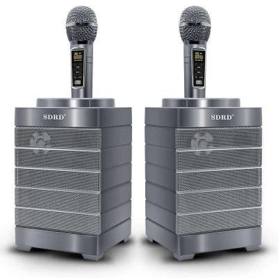 China New Hot Selling Karaoke Speaker SD128 Wireless Microphone SD 128 Super Bass Home KTV Speakers Dual Double Wireless for sale