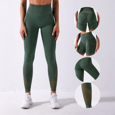 China Olive Green Breathable Plus Size Women's High Waist OEM Butt Lift Yoga Sports Pants Simple Fitness Gym Legging for sale