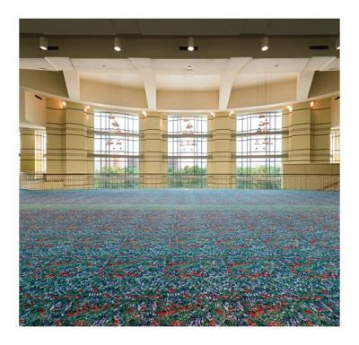 China Washable 100% nylon printed carpet for hotel broadloom rug for sale