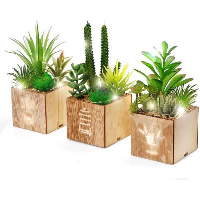 China Sweet Set Of 3 Table Centerpiece Artificial Plants Plastic Succulents With Led Lights for sale