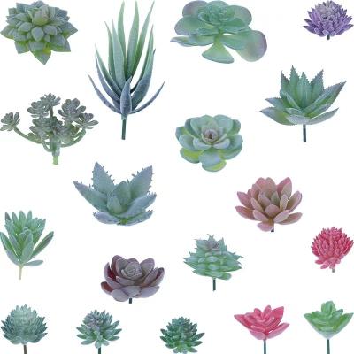 China DIY Sweet Unpotted Crafting Wall Home Floral Garden Artificial Succulents Assembled Plants for sale