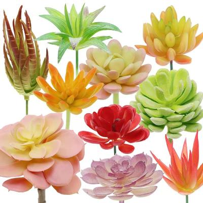 China Sweet Plastic Cactus Stems Mini-Greenhouse Bulk Small Faux Assorted Succulents Plants for sale