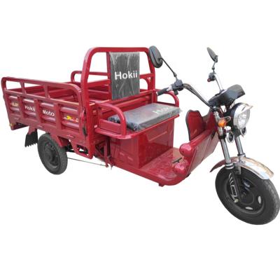 China Hokii 2021 new model three wheel electric tricycle cargo electric baik/solar panel electric tricycle/electric tricycles 4 wheel for sale