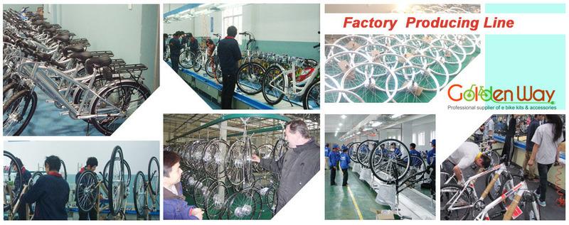 Проверенный китайский поставщик - Golden Way Cycle (Jiaxing) Co., Ltd