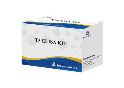 China T3 Elisa Test Kit do Triiodothyronine 96 testes Elisa Blood Serum Test à venda