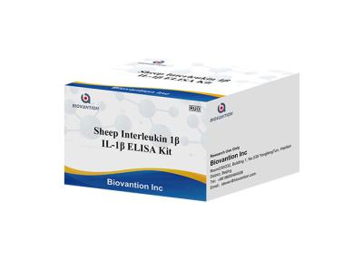 China Sheep Interleukin 1 Beta Elisa Kit IL1F2 ELISA RUO Test Kit Il1b Elisa Kit for sale