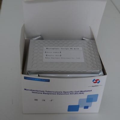 China IGRA TB Elisa Test Kit Igra For Tb Diagnosis Tuberculosis Diagnosis Interferon Gamma for sale