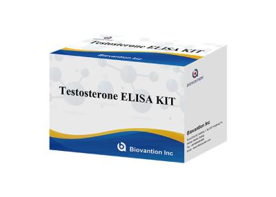 China Testosteron Elisa Test Kit Hoge specificiteit voor een nauwkeurige diagnose Te koop