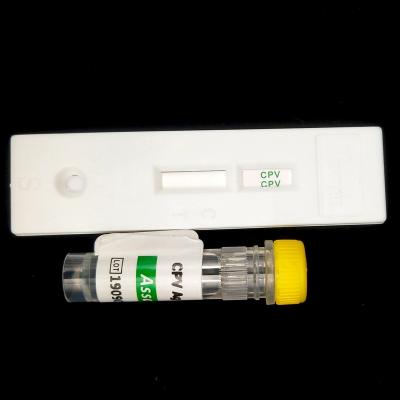 Κίνα Canine Distemper Virus Veterinary Rapid Test Immunochromatography προς πώληση