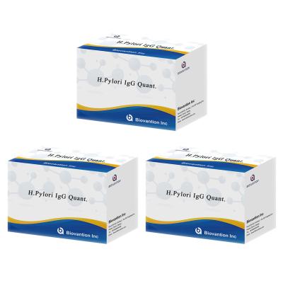 Κίνα H.Pylori IgG Quant. Elisa kit Origin Elisa Test Kit Format Kit από την εταιρεία Biovantion προς πώληση