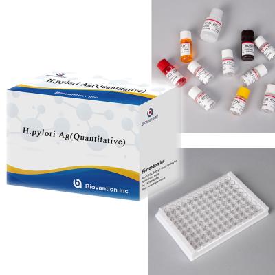 China Helicobacter Pylori Antigen H.pylori Ag(Quantitative) ELISA Test zu verkaufen