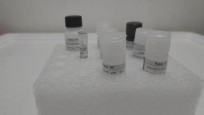 China Rat NF-κB Stored At 2-8°C ELISA Method RUO Test Kit With Specificity Of 98% for sale