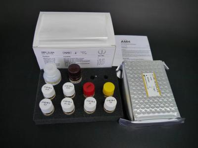 China Vitamin D Elisa Test Kit Specificity Elisa Test Kit With 18 Months Shelf Life 2-3 Hours Assay Time By Biovantion for sale