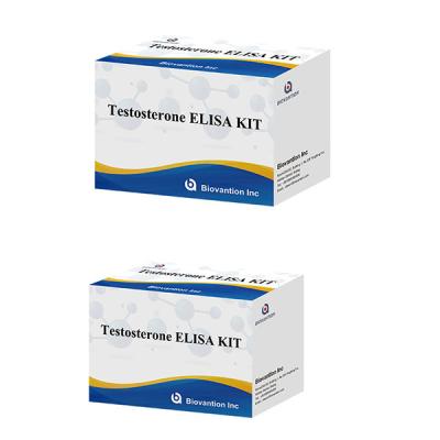 China Hormônio sexual masculino Hormônio testosterona (Quantitativo) Kit de teste Elisa para diagnóstico à venda