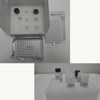 Cina Kit di prova TNF-α RUO Elisa per il siero umano con 96 test in vendita