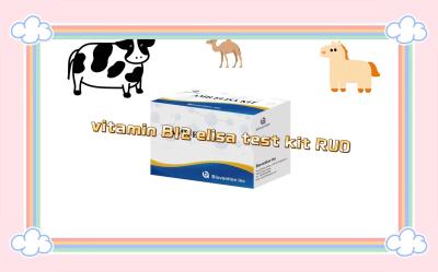 China Vitamin B12 Elisa Test Kit Of Enzyme-Linked Product RESEARCH USE ONLY Animal Test zu verkaufen