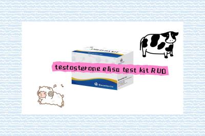 China Progesterona Elisa Kit Test RUO Elisa Kit Test Of Enzyme- Linked Product RESEARCH Utilize apenas em testes com animais à venda