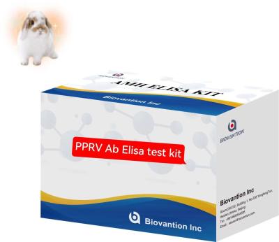 China Peste Des Petits Ruiters PPRV Ab ELISA Kit Veterinaire testkit Te koop