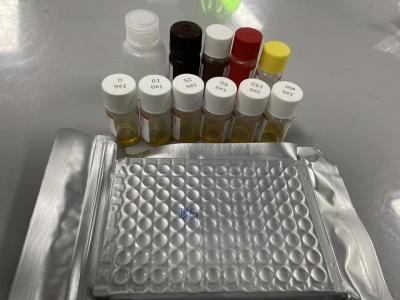 Cina Metodo ELISA per il siero Bcl-2 del ratto Tipo di campione Serum ELISA RUO Test Kit Con 98% di specificità in vendita