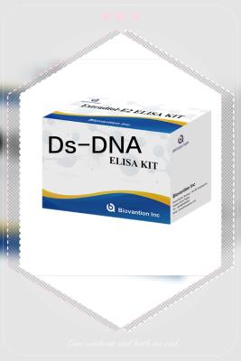 중국 항 Ds-DNA IgG ELISA 테스트 키트 질적 항 이중 나선 DNA 항체 판매용