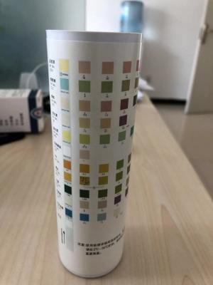 中国 Urinalysise Test Strip Dry Chemical Method Urine-H-11 Urine-H-10 Urine-H-8 販売のため