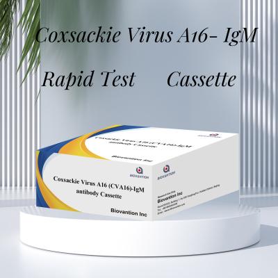 China CVA16 IVD-Diagnostisches Reagenzium Coxsackie-Virus A16 CVA16-IgM Antikörperkassette WB/S/P Kolloidgold-Schnelltest zu verkaufen