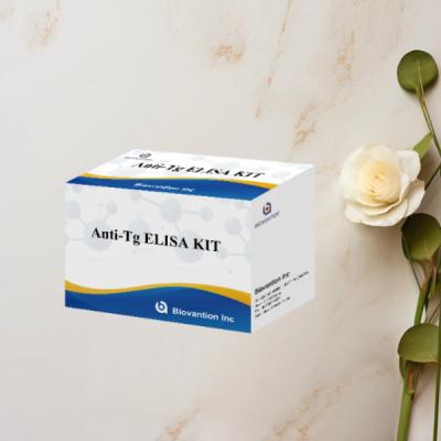 Κίνα Anti-Tg ELISA Test Kit Thyroglobulin Ab  In Vitro Quantitative Determination προς πώληση