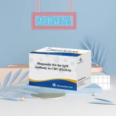 Κίνα CBV igm ELISA KIT D διαγνωστικό αντιδραστήρα 18 μήνες Χρονοδιάστημα ισχύος Ενζυμικά συνδεδεμένο ελεγχόμενο ελεγχόμενο ανοσοσυλλεκτικό προς πώληση