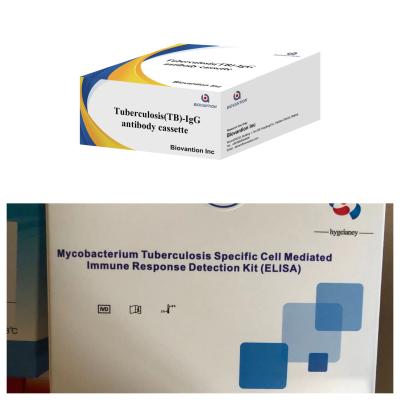 China Highly Sensitive Colloidal Gold Rapid Test for Tuberculosis TB -IgG Antibody Detection Te koop