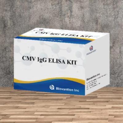 China Laboratorium- of ziekenhuiskit met hoge nauwkeurigheid voor CMV IgG Elisa-test Te koop