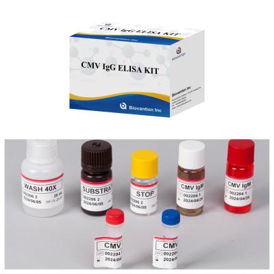 China Biovantion High-Sensitivity CMV ELISA Reagent Kit for Cytomegalovirus Antibody Detection – IgG/IgM Testing for sale