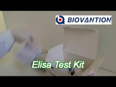 Tuberculosis-Interferon Gamma Release Assay Elisa Kit Manufactured By Biovantion