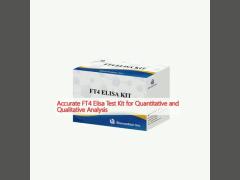 Accurate FT4 Elisa Test Kit for Quantitative and Qualitative Analysis