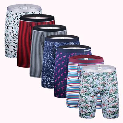 China Anti-Bacterial Men Underwear Long Boxer 2023 New Design Fast Delivery Custom Print Cotton Breathable Stretch Mens Long Boxer Briefs for sale