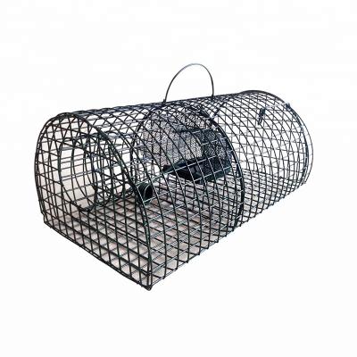 China Cages Live High Sensitivity Humane Mouse Trap Doors Catch Wire Mesh Mousetrap Metal Cage for sale