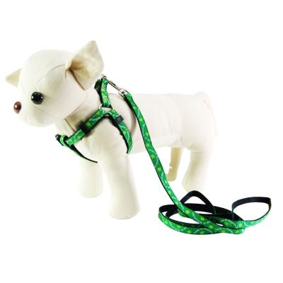 China Quick Release Green Leash 2022 Design, Dog Collar, Leash & Harness, Customized Dog Harness for sale