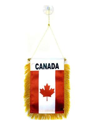 China Custom Printing Health Care Institutes Canada Mini Flags For Car Rear View Mirror for sale