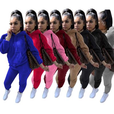 China Fashionable Thick Fleece Women Solid Color Sherpa Homewear Sweatpants Women Anti-Wrinkle Winter Christmas Hoodie Pants Two-piece Set for sale