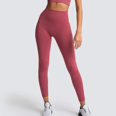 China Custom Viable Women Shorts Super Stretchy Workout High Waisted Sporty Shorts With Side Pocket Yoga Pants And Quarter Pants for sale