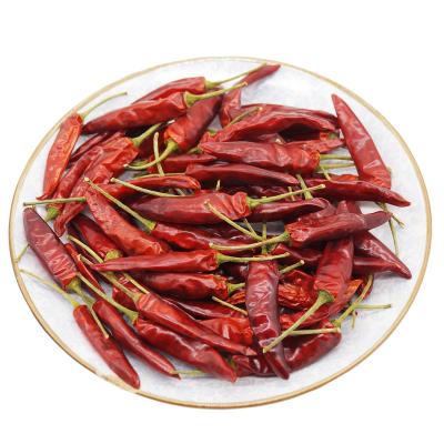 China Guizhou Mantianxing Millet Pepper Dry Chilli Hot Pot Seasoning Raw Material Spices for sale