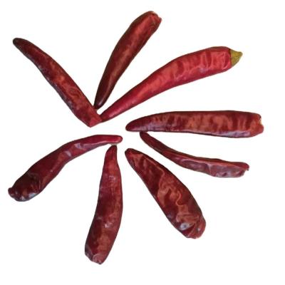 China Dry Chinese Dried Red Chili Made By Traditional Drying Process for sale